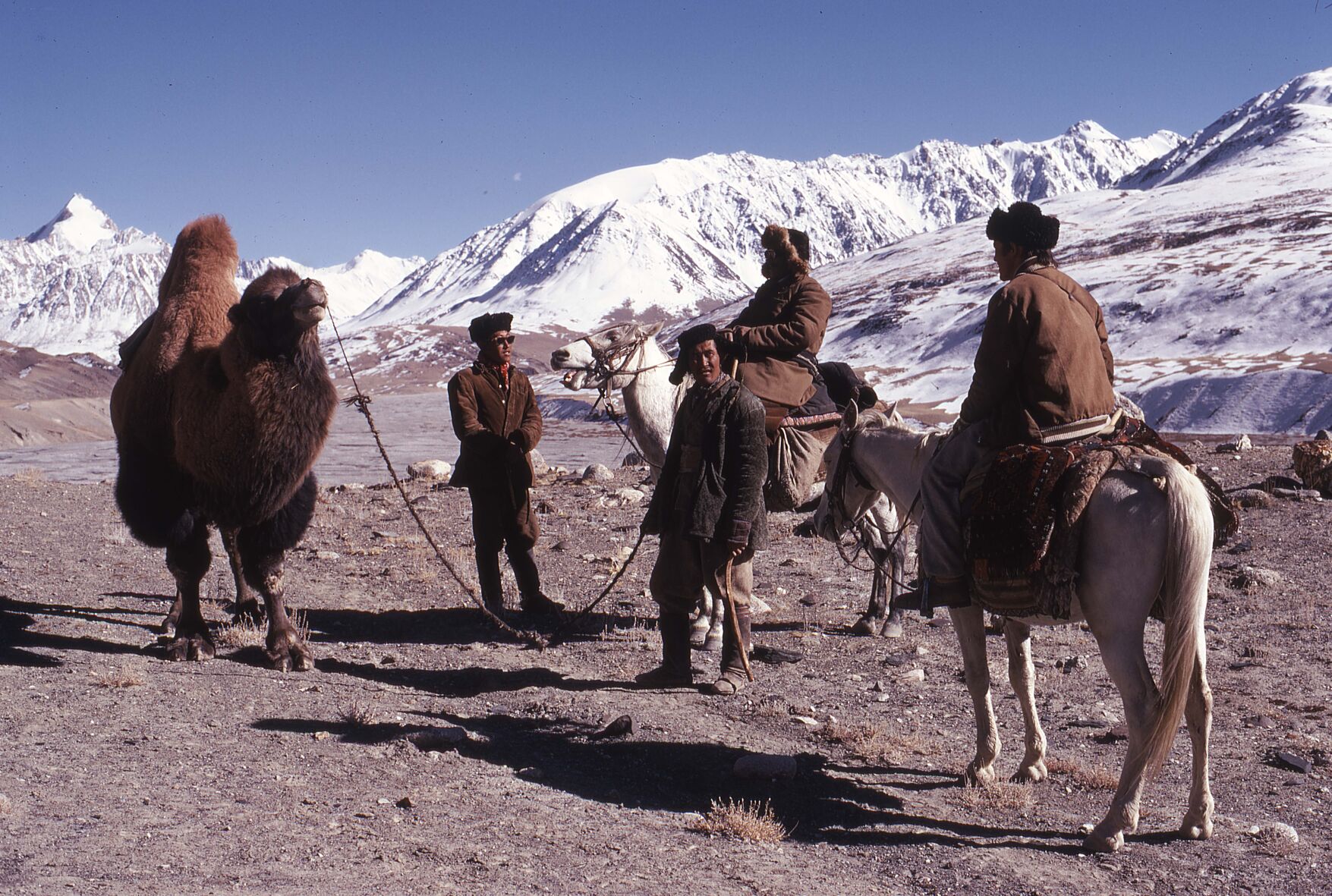 Waghjir Valley Trail Meeting Camel and Horses.jpg